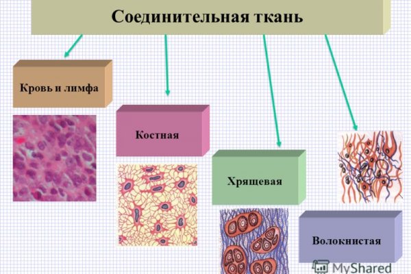 Кракен почему пользователь не найден