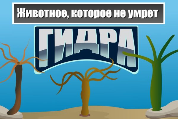 Маркетплейс кракен kraken